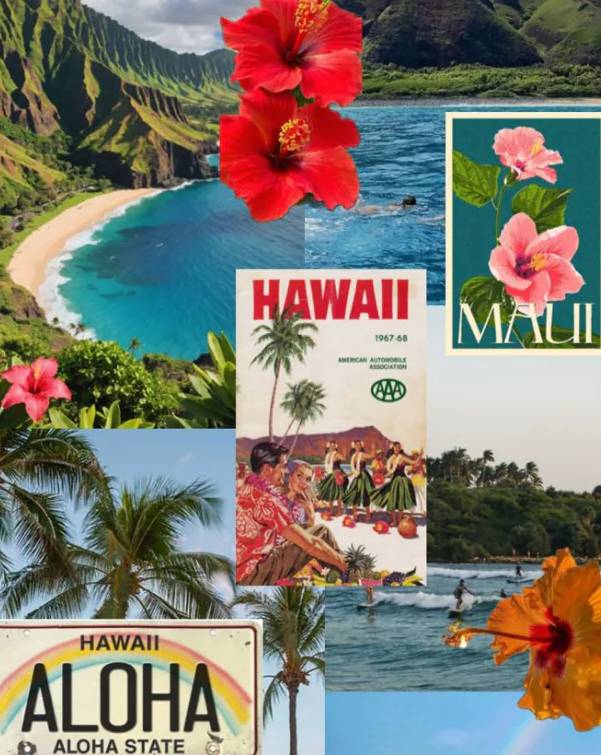 Landscape wall art collection featuring scenic coastal and nature prints