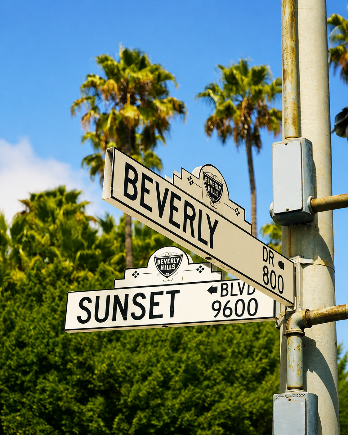 Beverly Drive & Sunset Boulevard - Lámina urbana