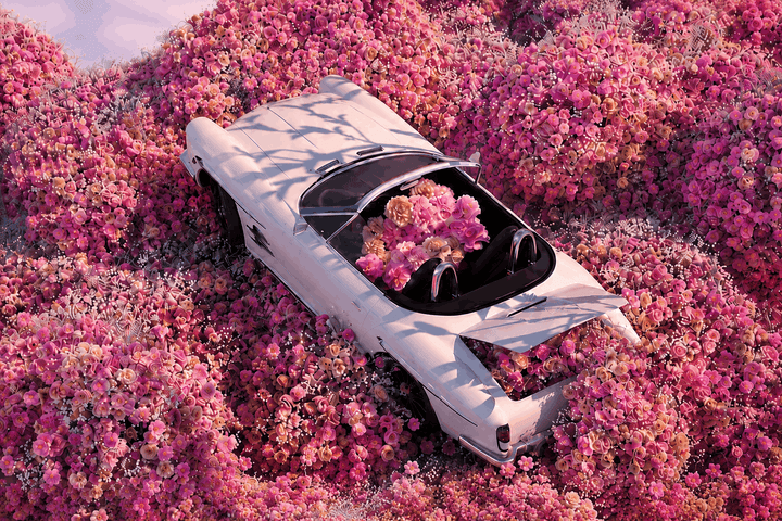 Bloom Kaçışı