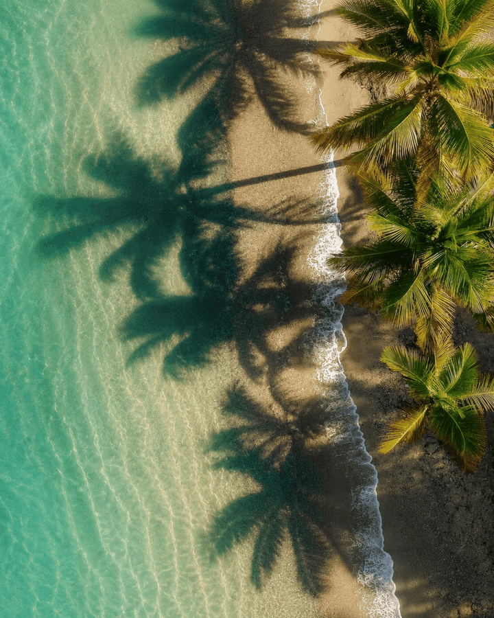 Close-up tropical ocean coastline print with palm shadows, turquoise surf, and dark sand
