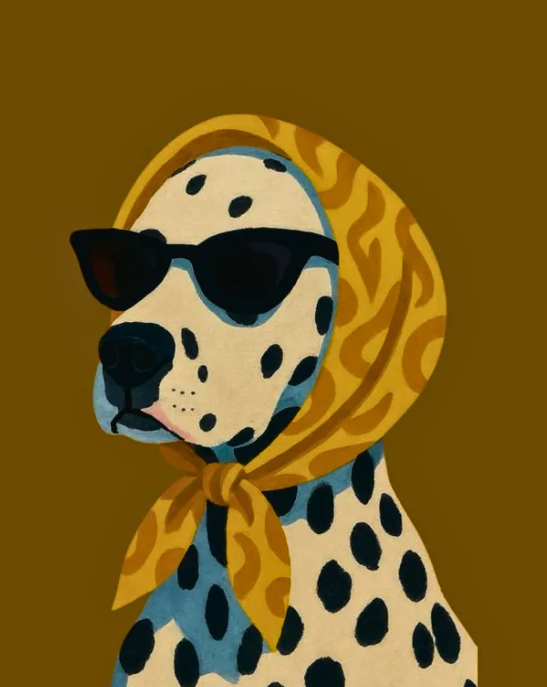 Dalmatian dog wall art poster with blue-and-yellow headscarf and black sunglasses