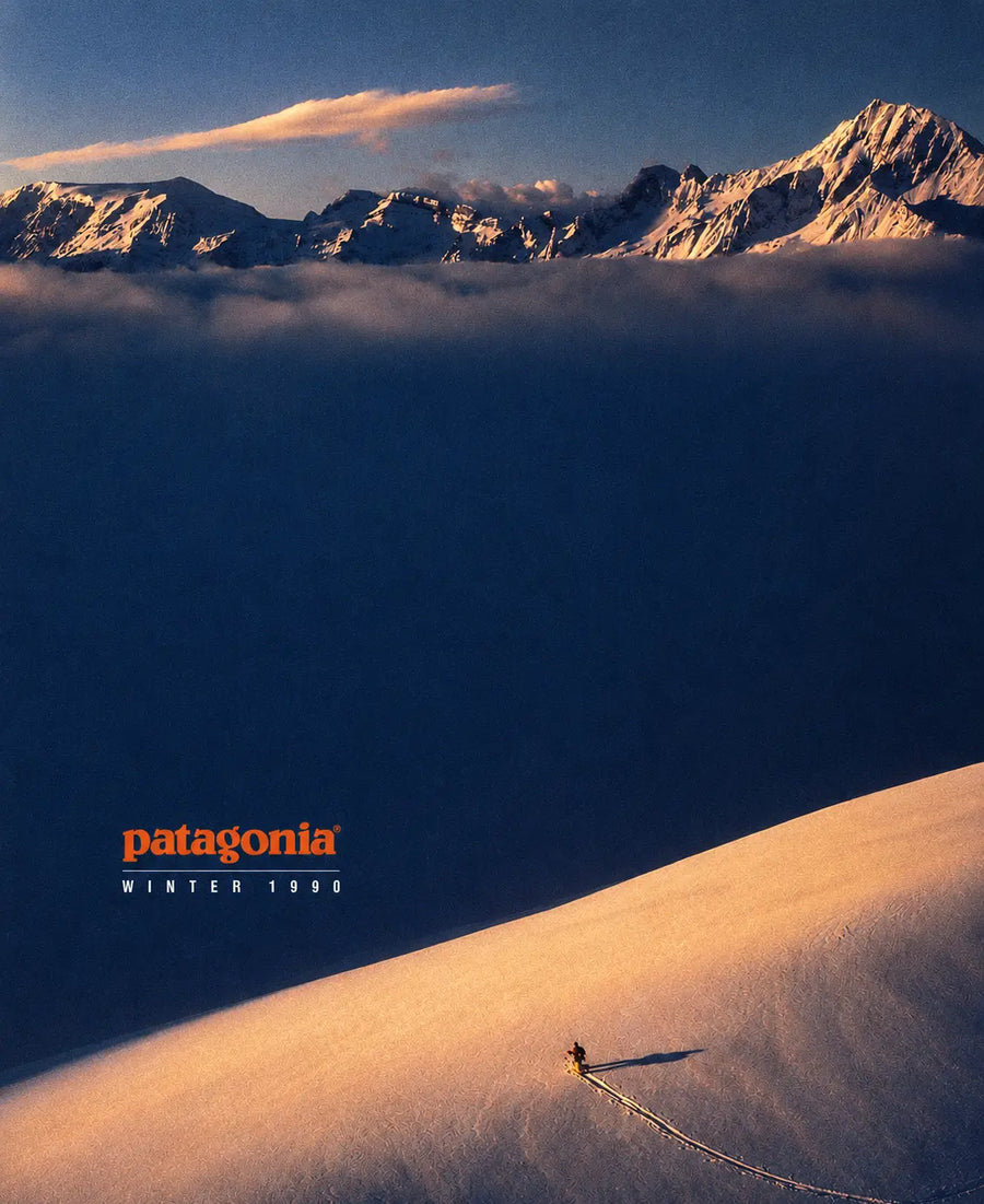 Close-up of landscape sunset print showing blue sky, mountains, and Patagonia logo.