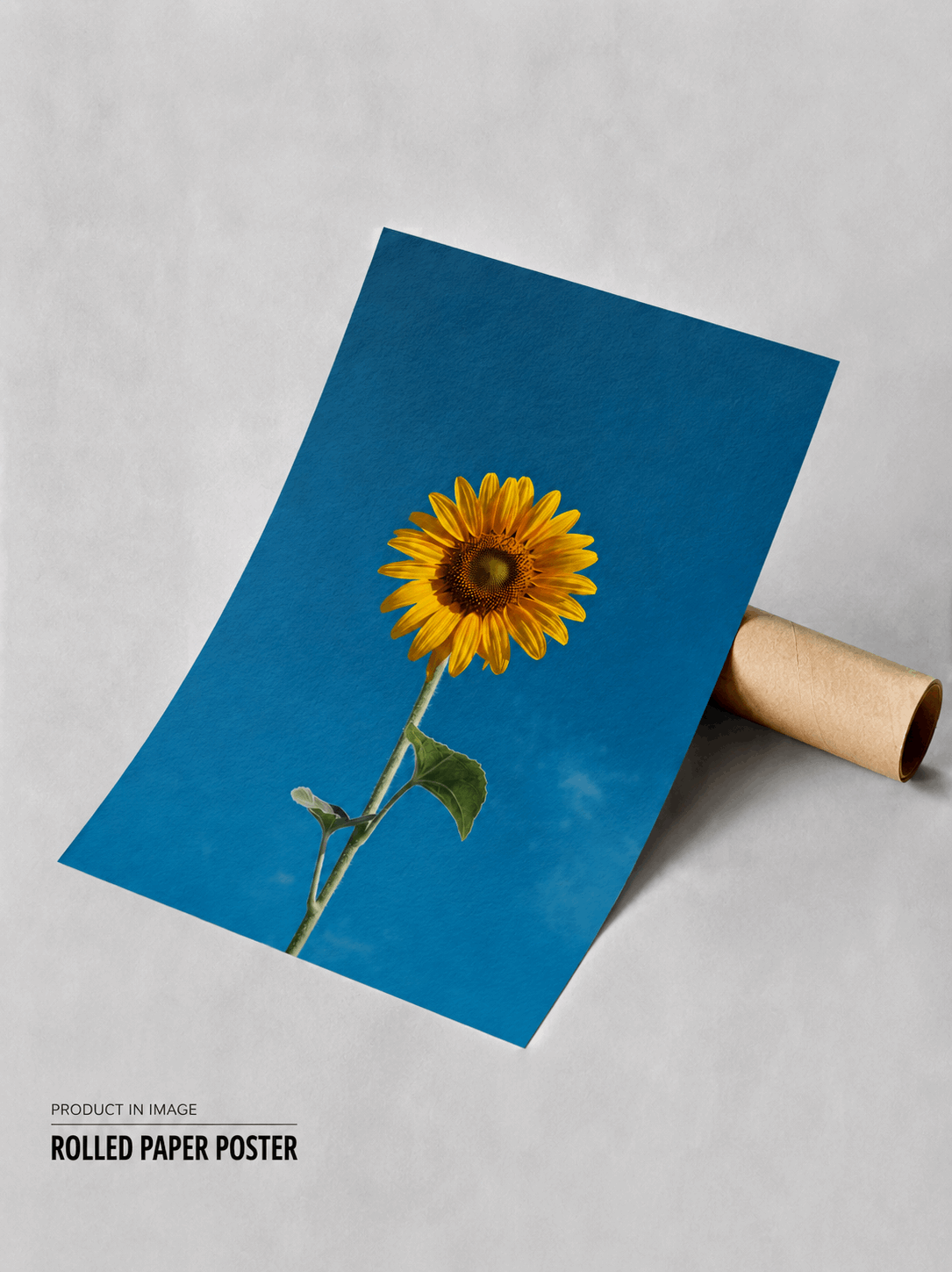 Rolled sunflower wall art poster with blue background and yellow flower
