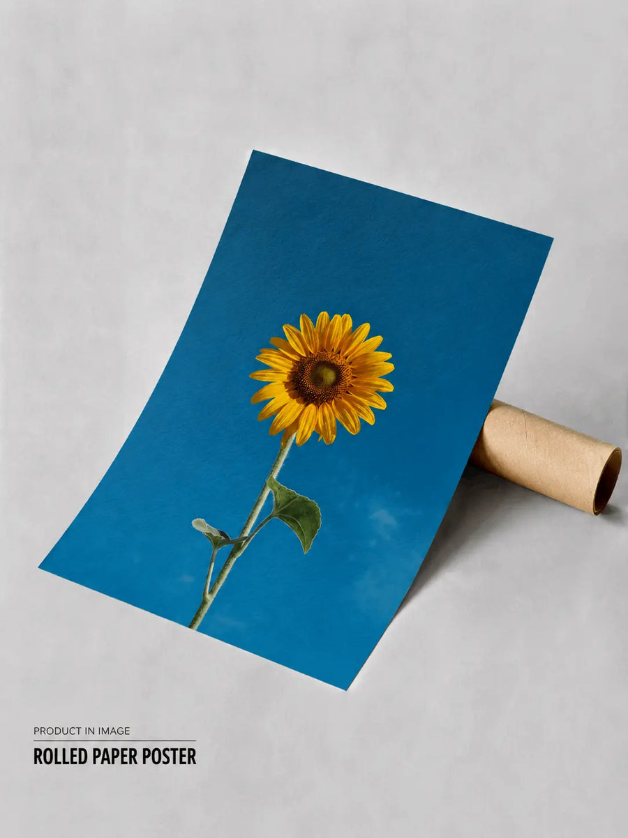Rolled sunflower wall art poster with blue background and yellow flower