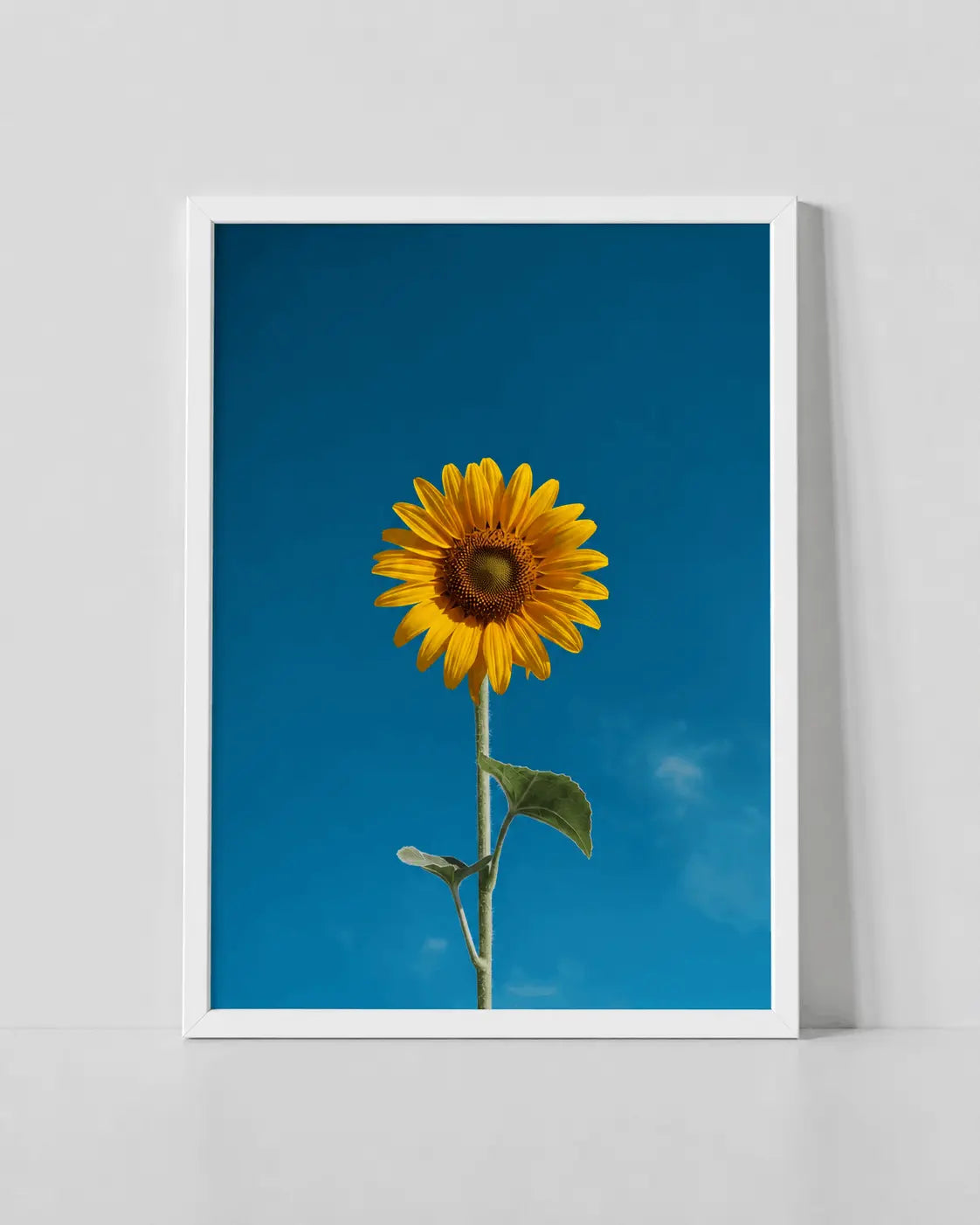 Sunflower wall art print in a white frame, blue background with yellow flower
