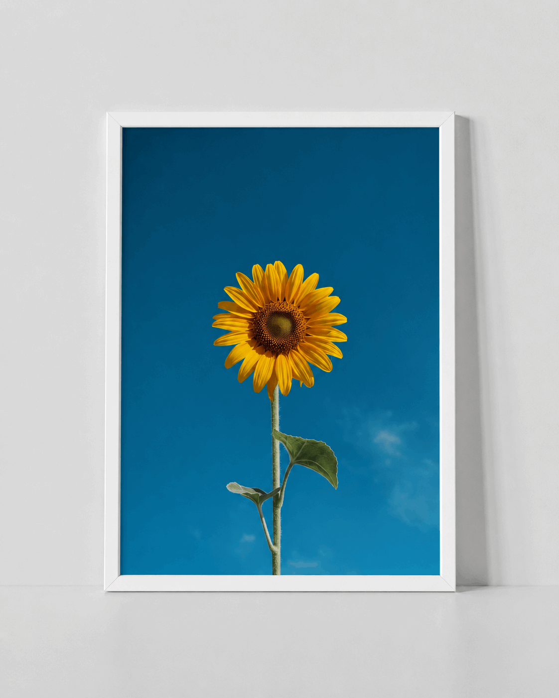 Sunflower wall art print in a white frame, blue background with yellow flower