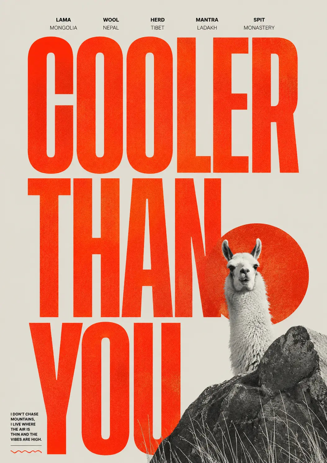 Close-up wall poster with red "COOLER THAN YOU" letters and llama on rocks