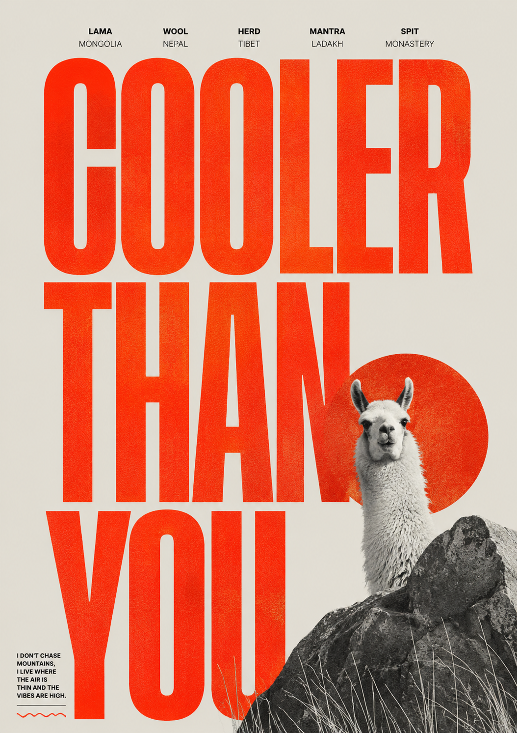 Close-up wall poster with red "COOLER THAN YOU" letters and llama on rocks