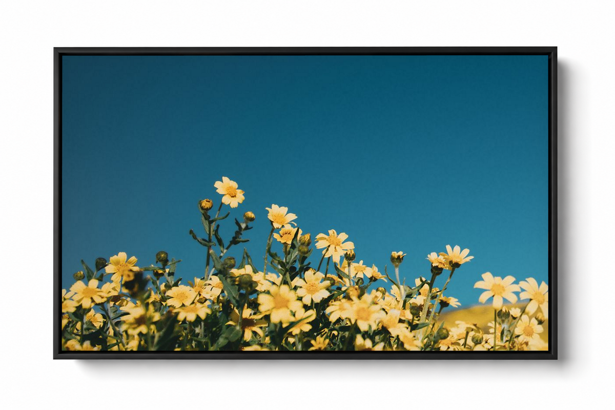 Black framed botanical wall art featuring small golden wildflowers beneath an expansive deep blue sky on a clean white background.
 Copy Alt Text