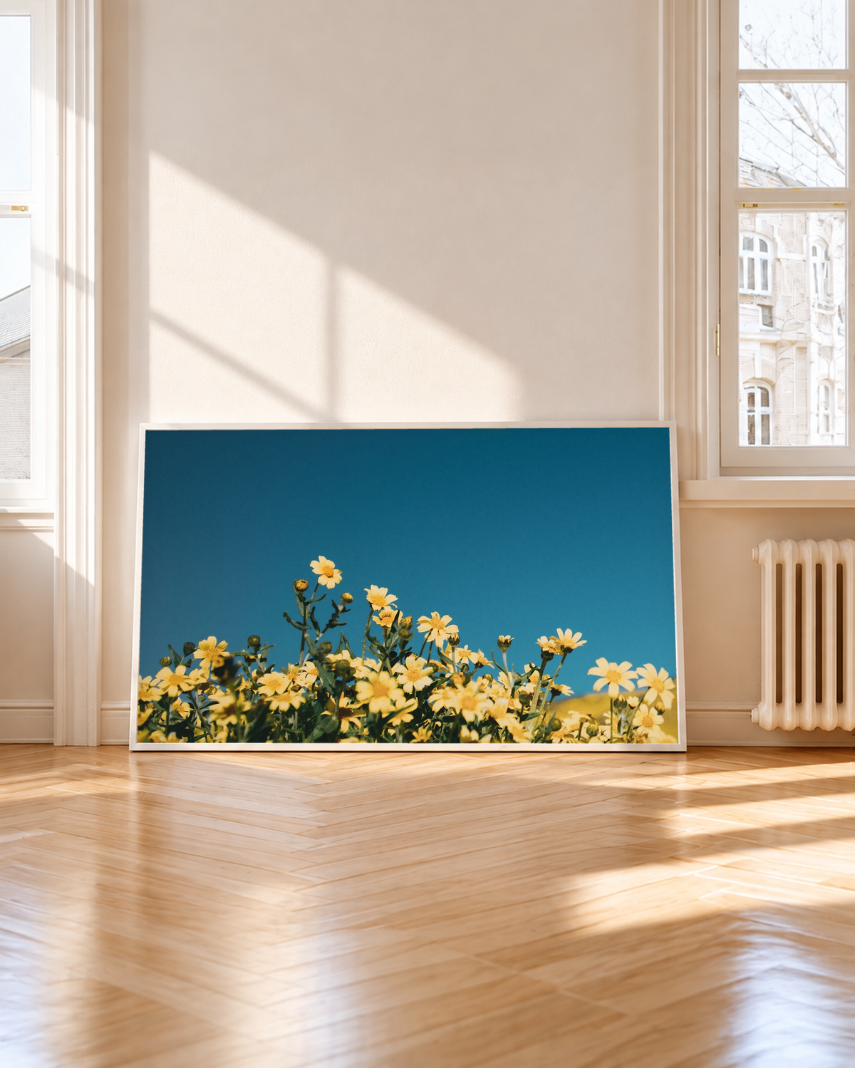 Blue sky botanical print with delicate yellow flowers resting on a wooden floor between tall windows in a light-filled room.
 Copy Alt Text