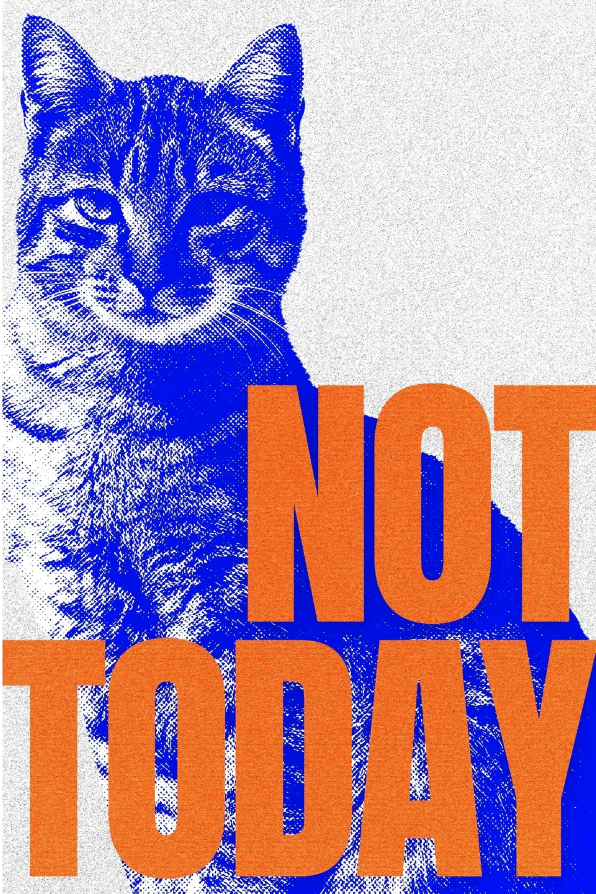 Not Today Cat Attitude Framed Print