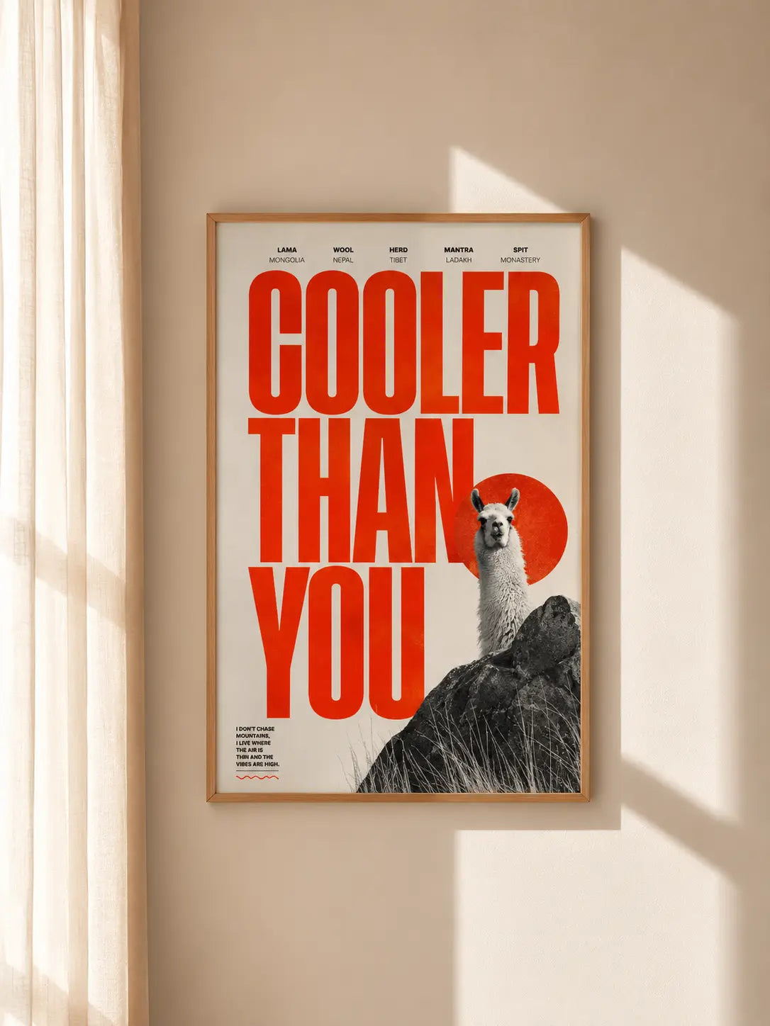 Wood-framed wall art with red "COOLER THAN YOU" text and llama on rocks