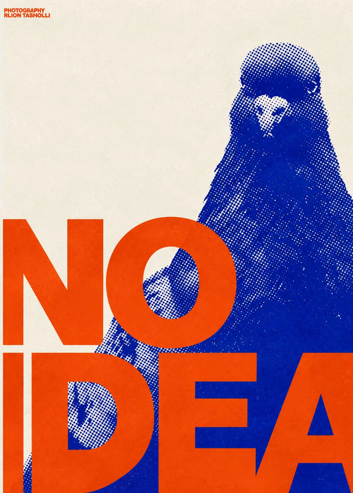 Close-up of blue pigeon and orange 'NO IDEA' pop art print with dotted texture