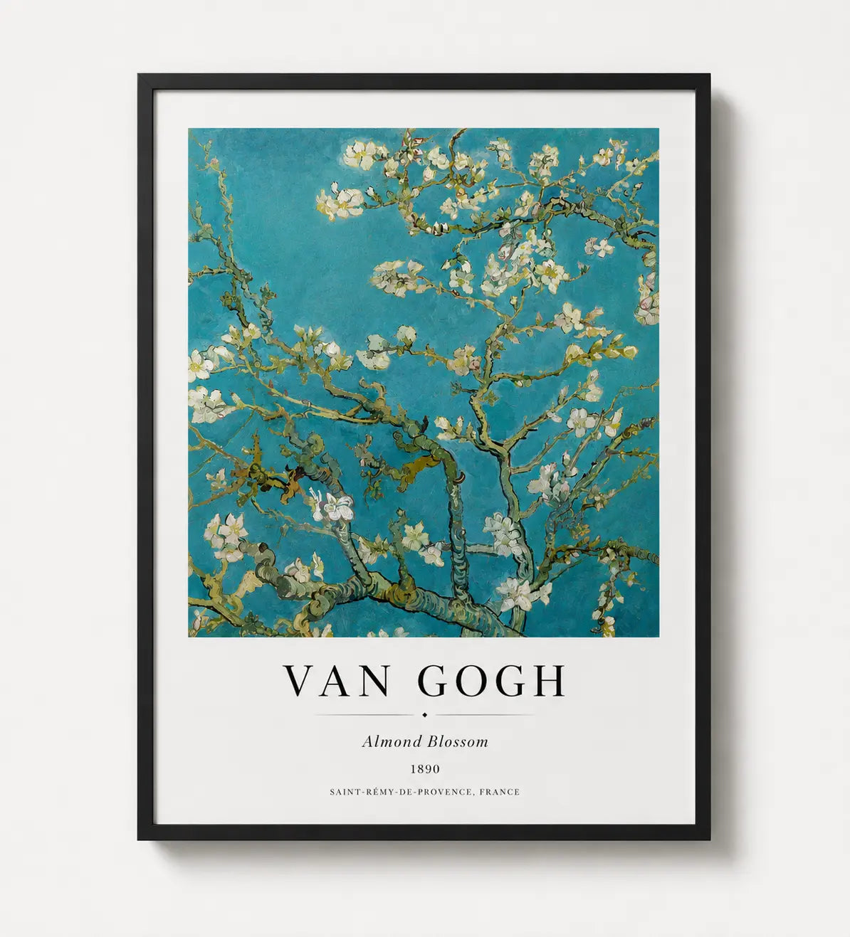 Almond blossom art print in black frame with teal background and white flowering branches