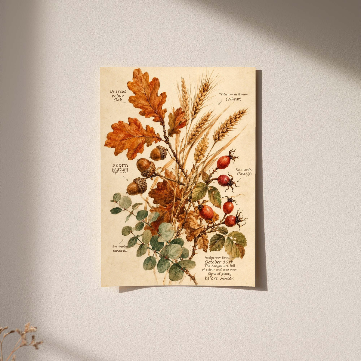 Botanical art print with oak leaves, wheat stalks, and rose hips illustration on cream paper.