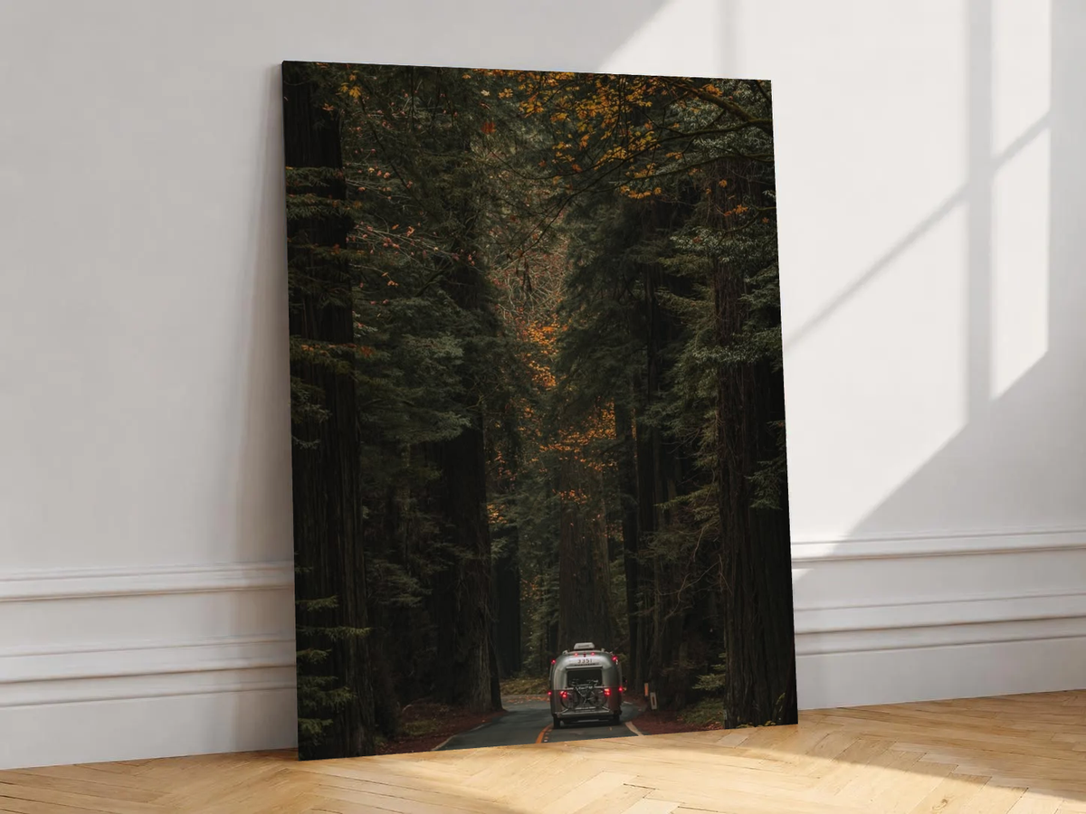 Canvas artwork depicting rear view of a car on a road beneath tall autumn trees, leaning against a white wall in angled sunlight.