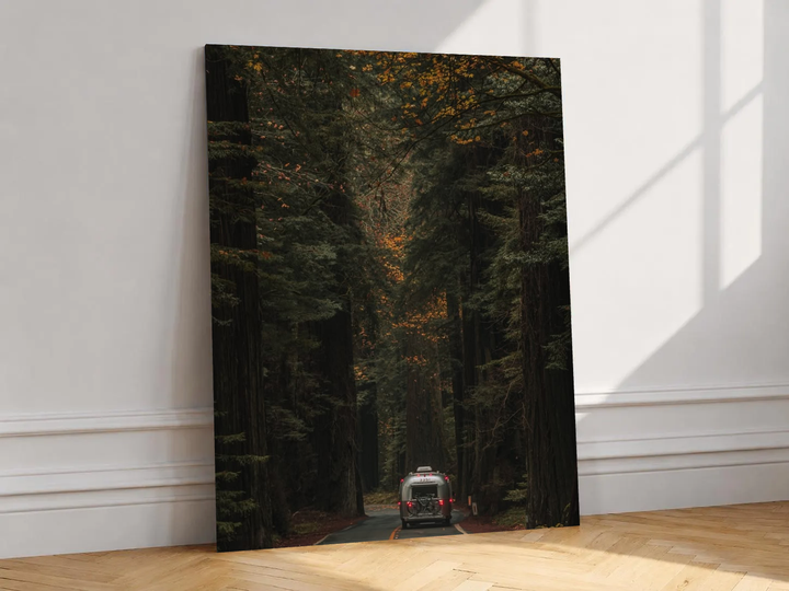 Canvas artwork depicting rear view of a car on a road beneath tall autumn trees, leaning against a white wall in angled sunlight.