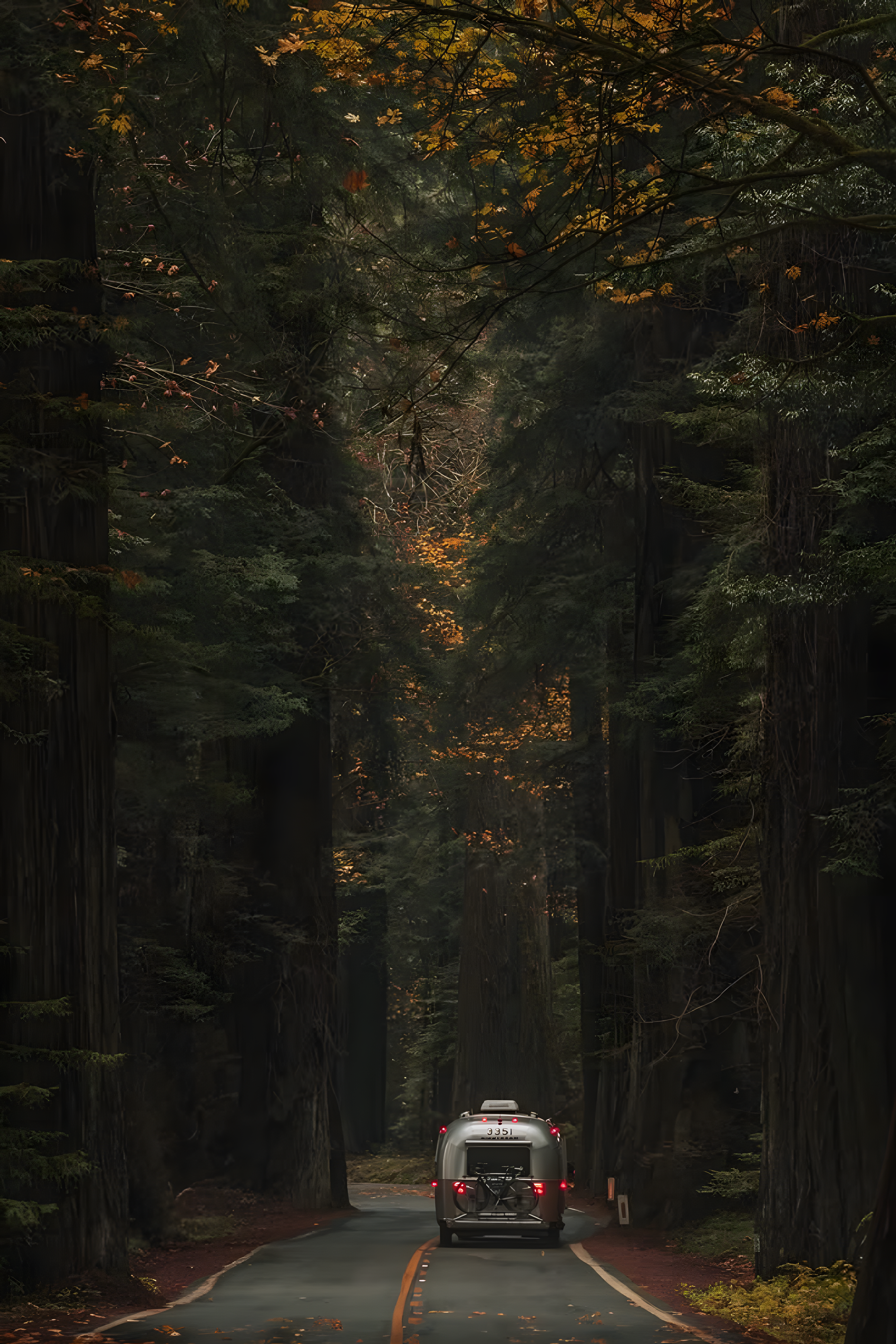 Narrow forest road poster showing a red vehicle under dark trees and autumn leaves