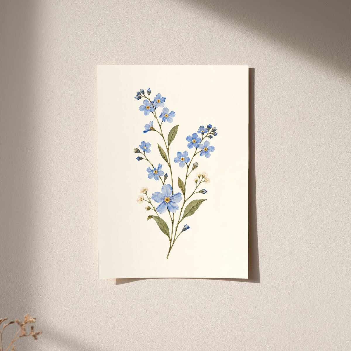 Blue wildflower sprig with small white flowers and olive green leaves as an unframed hanging paper print against a plaster wall