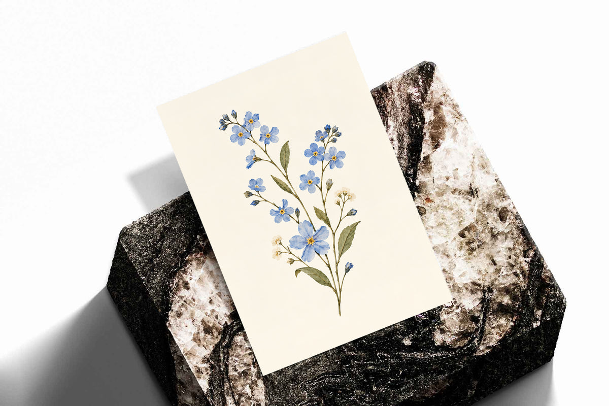 Blue wildflower sprig with small white flowers and olive green leaves as an unframed print standing on a stone plinth against white