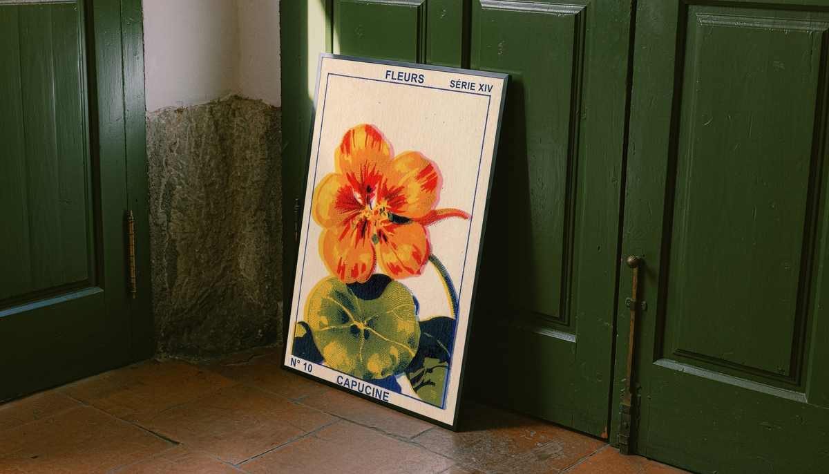 Capucine flower poster in black frame with orange petals and green leaves near doors.
