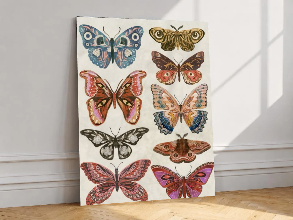 Canvas artwork depicting symmetrical arrangement of colorful butterflies and moths, leaning against a white wall in angled sunlight.