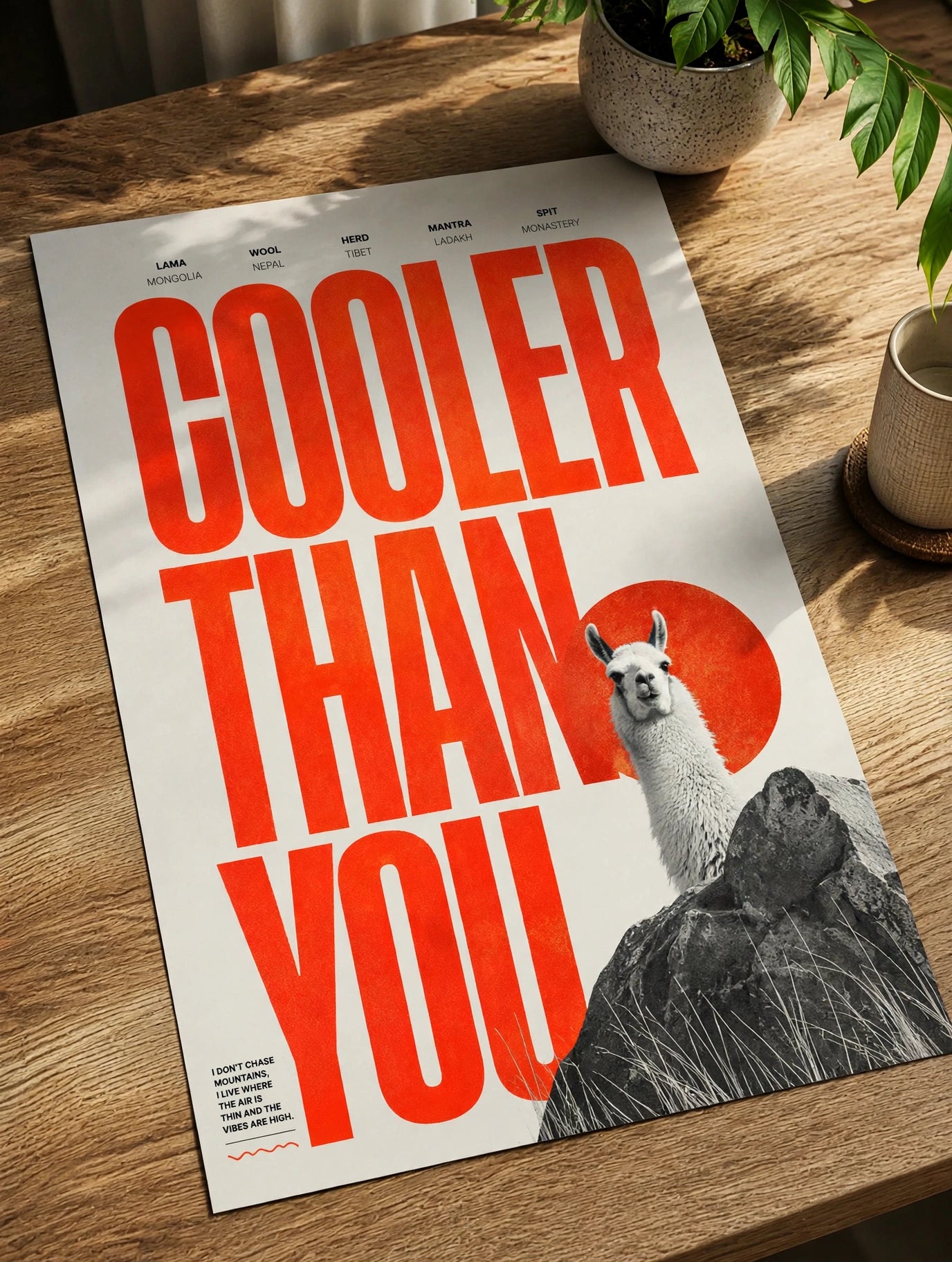 Paper poster wall art with red "COOLER THAN YOU" text and llama on rocks