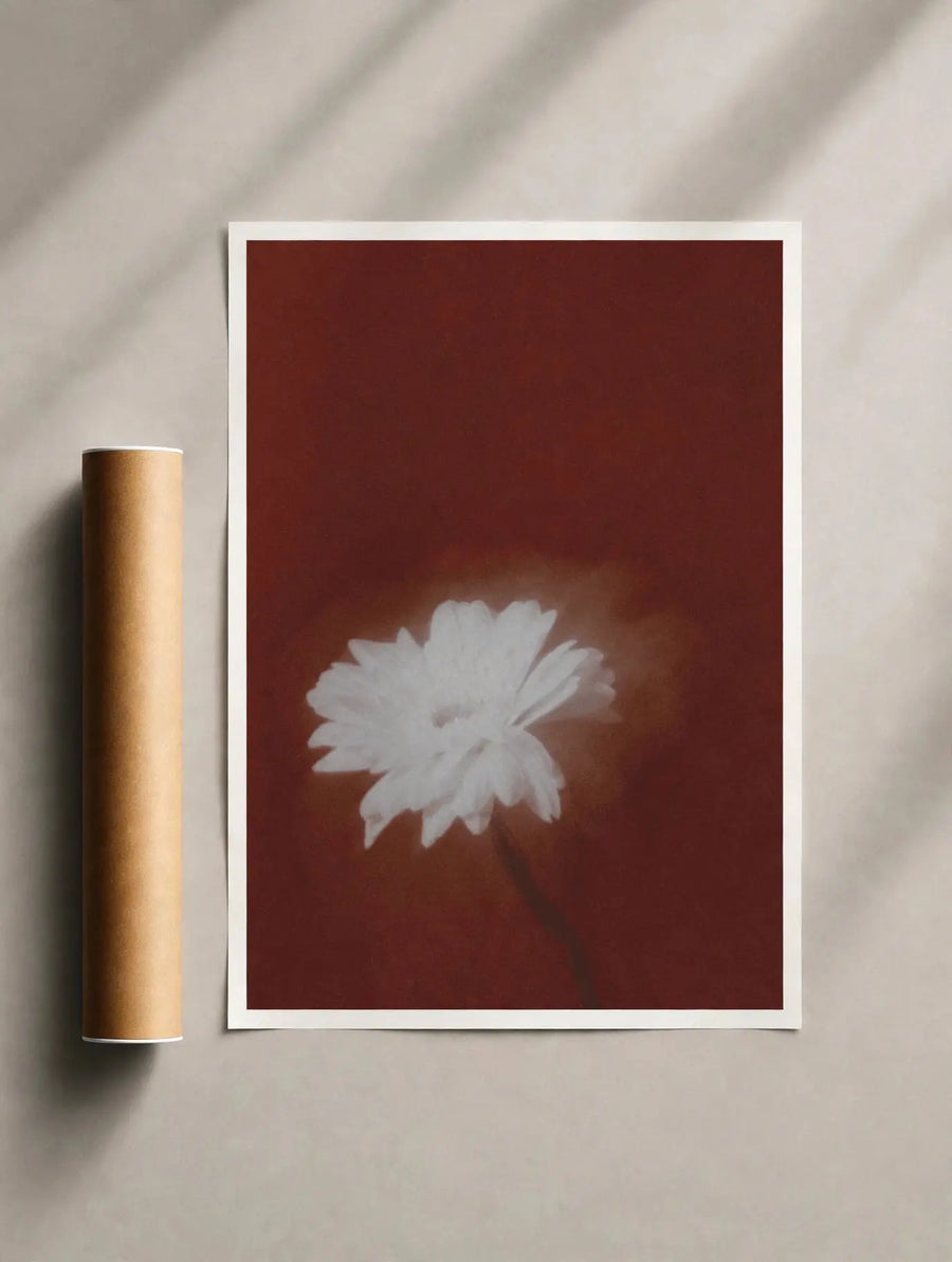 White-framed poster with faded white flower print, single bloom