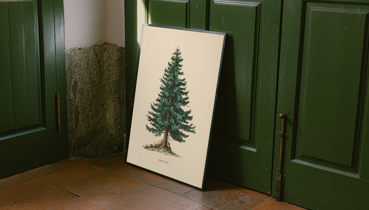 Single green evergreen tree on cream with a printed Spruce Pine caption as an unframed print leaning against a green panelled door