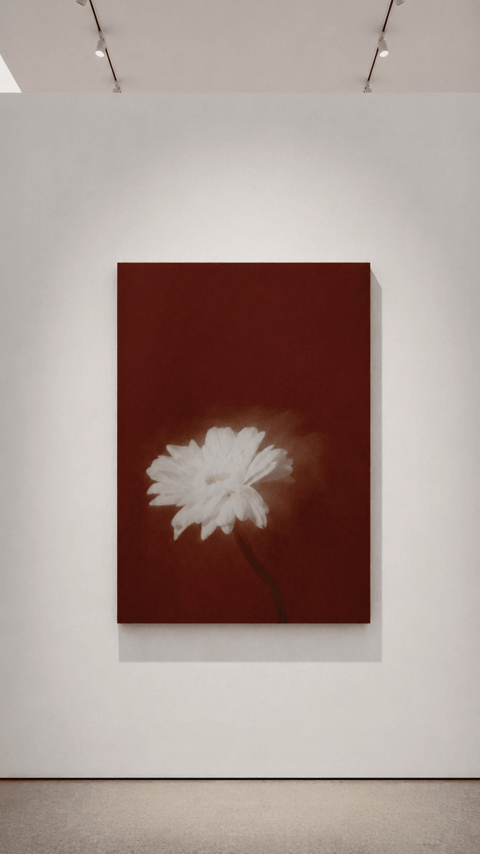 Fade White Flower Dream - Joffzart