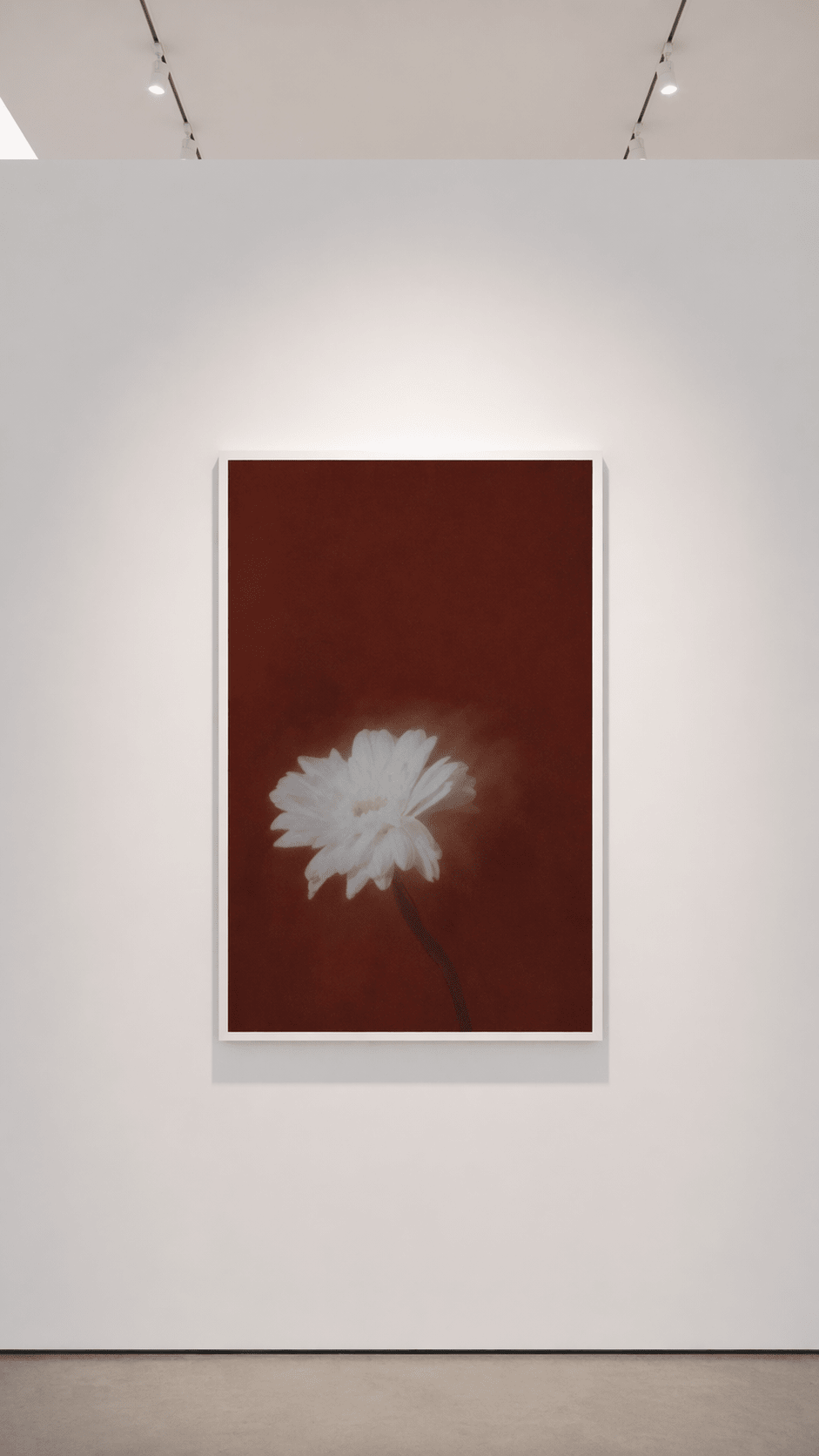 Fade White Flower Dream - Joffzart