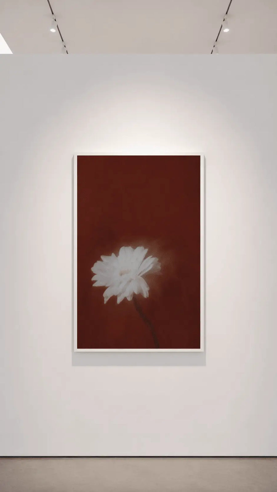 Impresión de flor de margarita blanca en marco oscuro, fondo rojo con tallo en ángulo