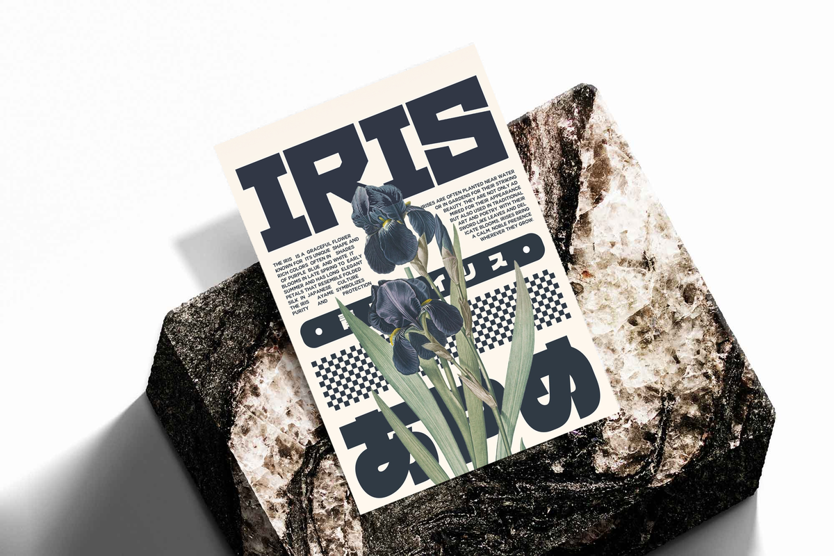 Unframed botanical typography poster with iris flowers and bold IRIS lettering