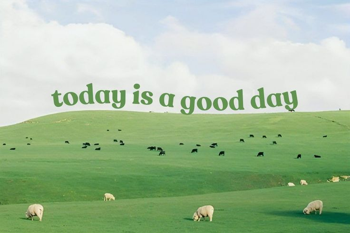 Grüne Schrift 'today is a good day' über Weiden mit Schafen, kleinen Rindern und hellem Wolkenhimmel. Ungerahmte horizontale Bildvorschau mit der vollständigen Komposition.