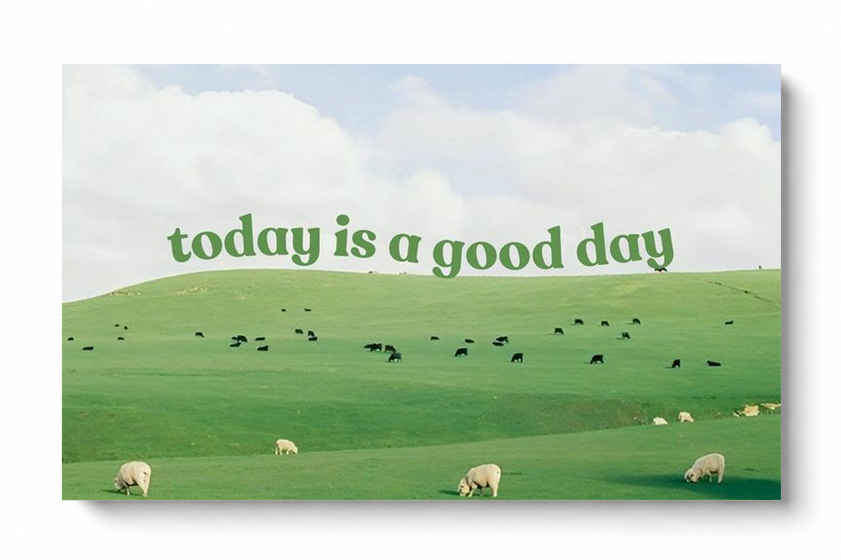 Grüne Schrift 'today is a good day' über Weiden mit Schafen, kleinen Rindern und hellem Wolkenhimmel. Ungerahmtes horizontales Poster vor weißem Hintergrund mit weichem Schatten.