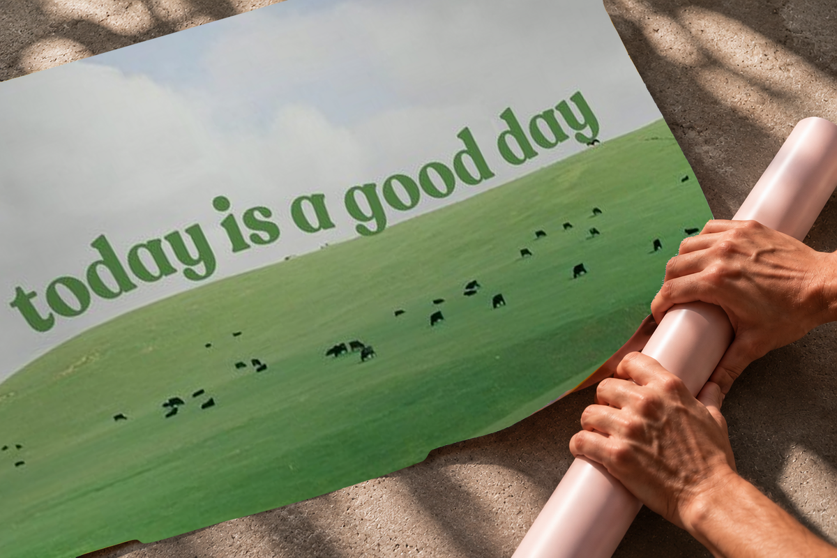 Grüne Schrift 'today is a good day' über Weiden mit Schafen, kleinen Rindern und hellem Wolkenhimmel. Gebogenes ungerahmtes Poster, rechts unten über einer strukturierten Betonfläche gehalten.