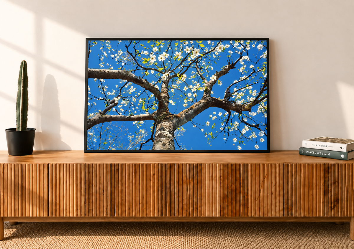 Blossom tree art print in a black frame, with white flowers against a blue sky