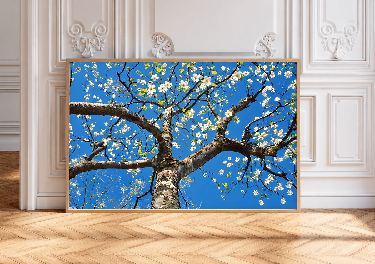 Blossom tree art print in a wood frame, with white blossoms against blue sky