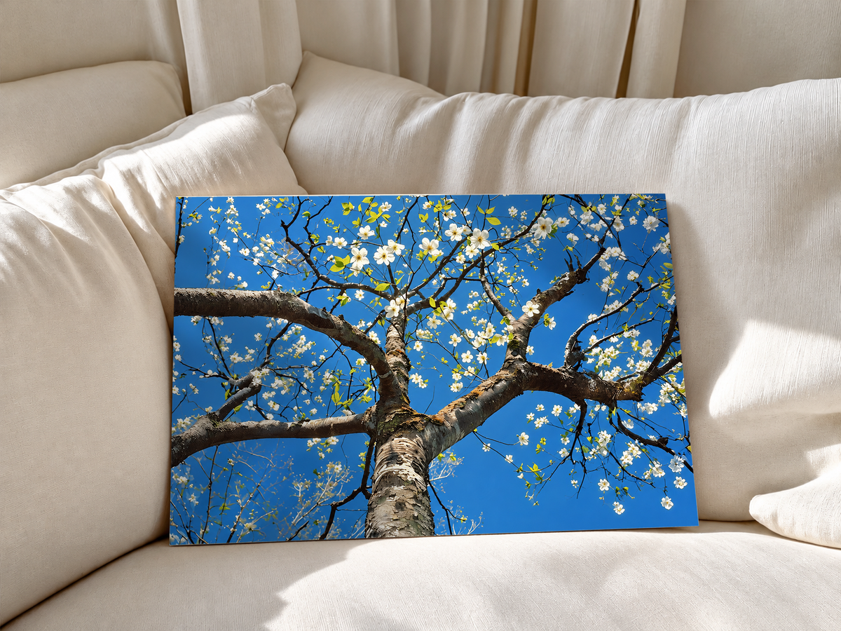 Blossom tree print on a rigid panel, with white flowers against blue sky