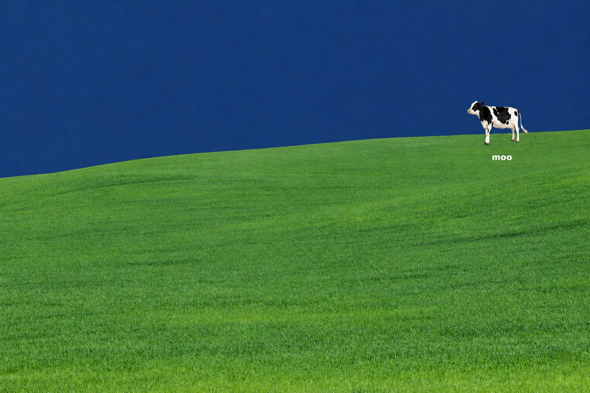 Una pequeña vaca blanca y negra se sitúa en una amplia colina verde bajo un cielo azul marino, con la palabra blanca moo debajo. Vista previa horizontal sin marco que muestra la composición completa.