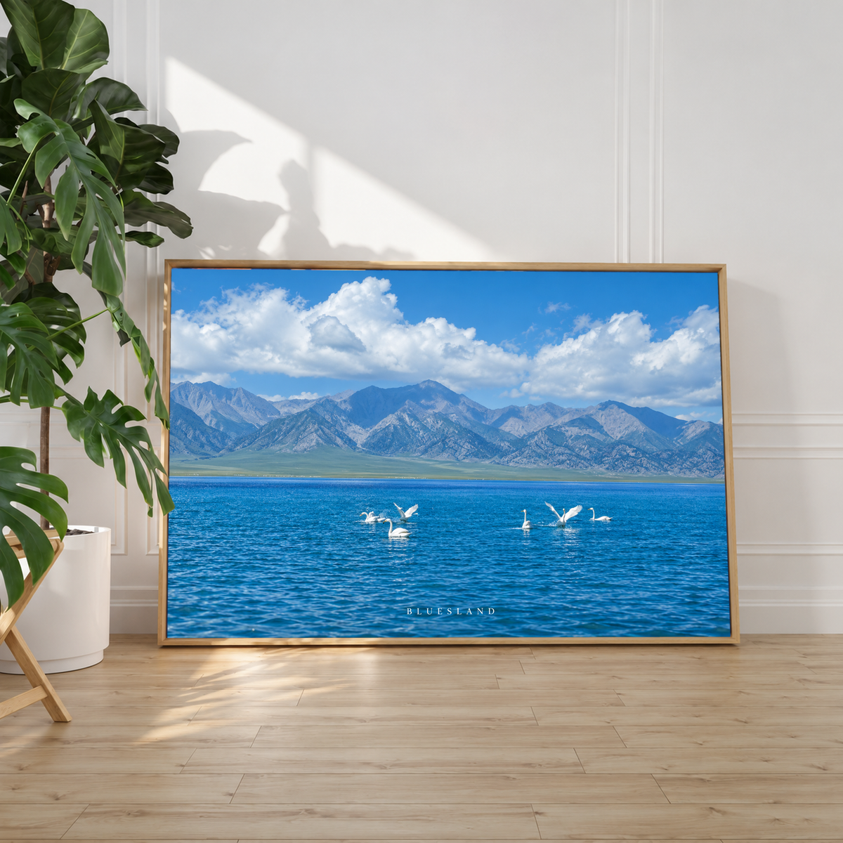 Weiße langhalsige Wasservögel schwimmen und breiten ihre Flügel auf tiefblauem Wasser vor einer graublauen Bergkette und hellen Wolken aus. Heller Schattenfugenrahmen an einer weißen Wand neben einer Zimmerpflanze; Sonnenlicht auf dem Holzboden.