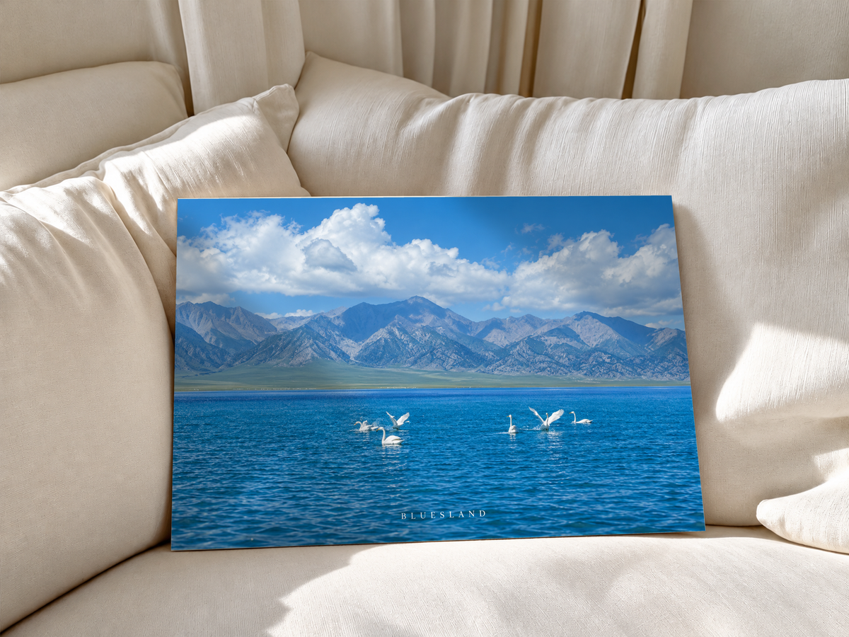 Weiße langhalsige Wasservögel schwimmen und breiten ihre Flügel auf tiefblauem Wasser vor einer graublauen Bergkette und hellen Wolken aus. Ungerahmtes Poster an weiche weiße Sofakissen gelehnt.