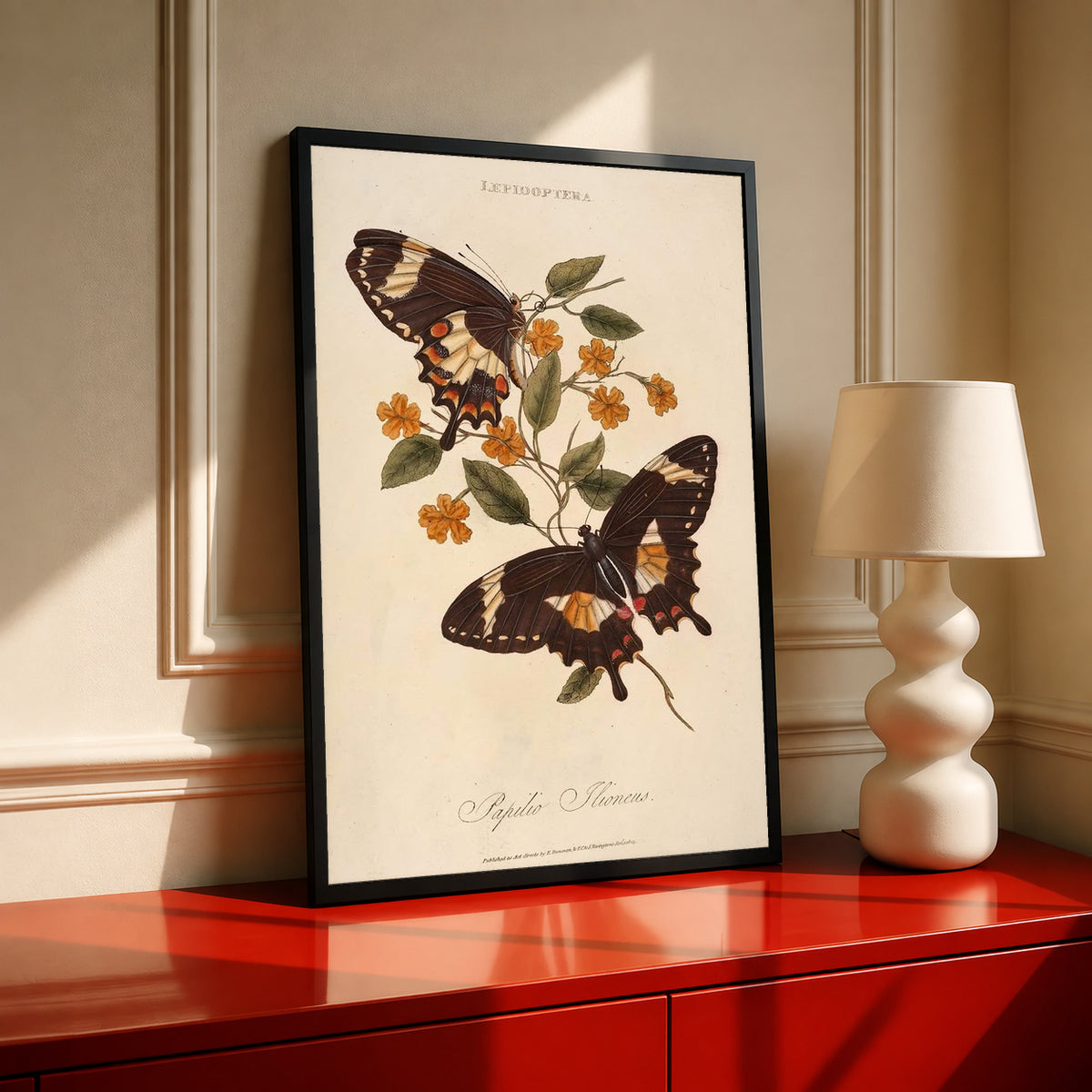Two dark butterflies with cream orange markings and small golden flowers on a Lepidoptera plate in a black frame on a red cabinet beside a cream lamp