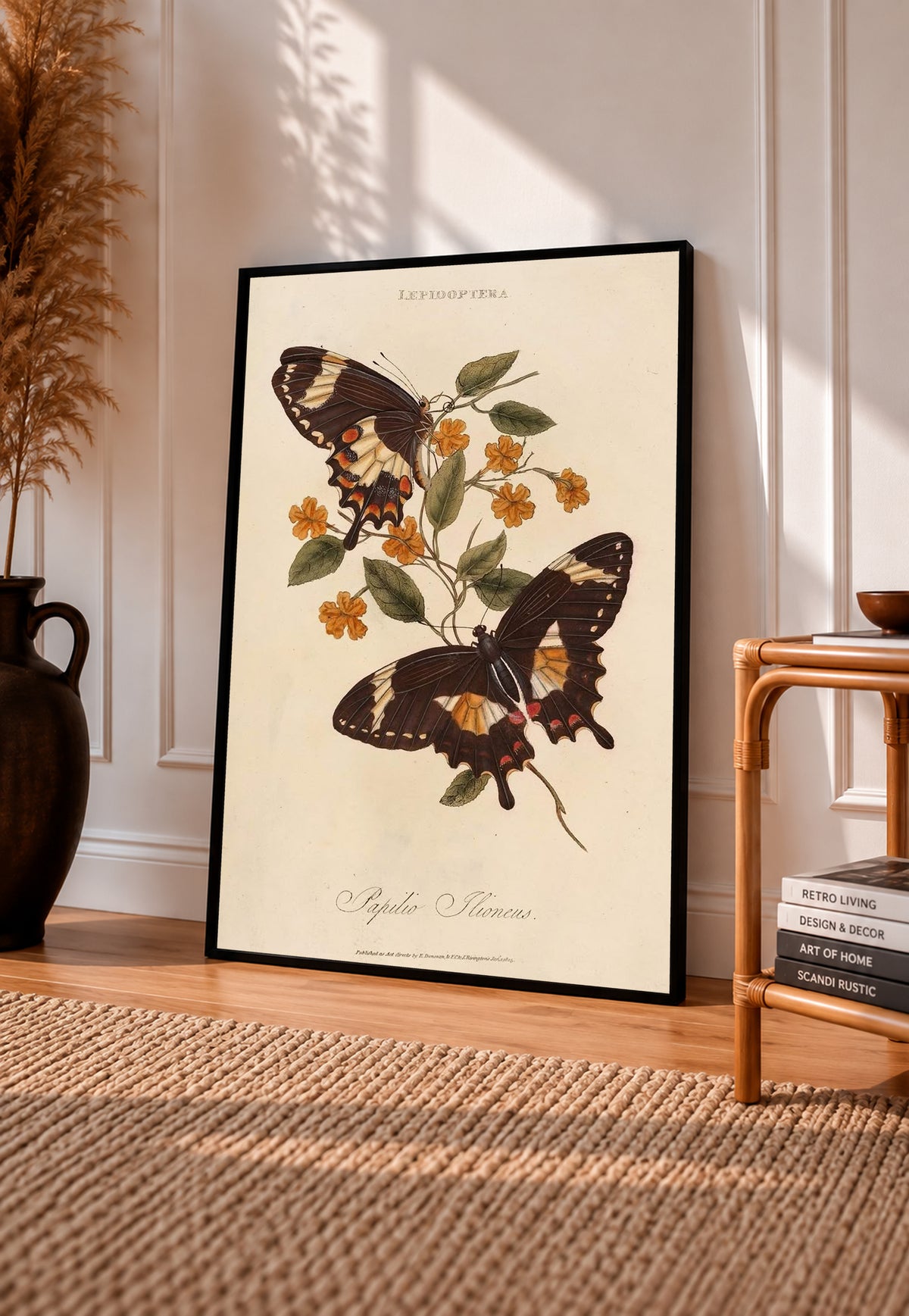 Two dark butterflies with cream orange markings and small golden flowers on a Lepidoptera plate in a black frame leaning on a sunlit wooden floor beside books and a rattan seat