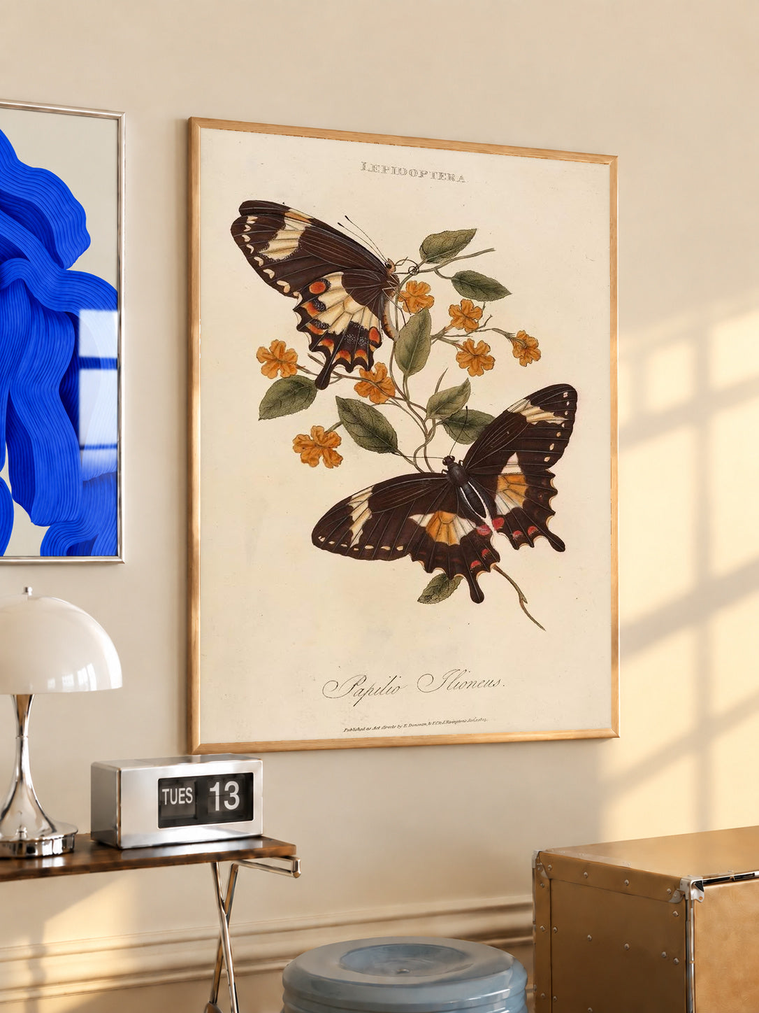 Two dark butterflies with cream orange markings and small golden flowers on a Lepidoptera plate in an oak frame above a console beside a blue print and calendar