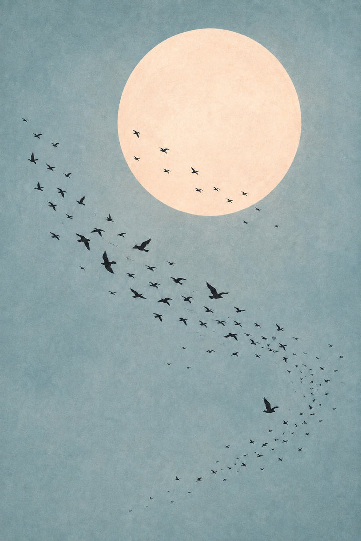 Minimalist bird wall art with pale moon circle and small flying bird silhouettes