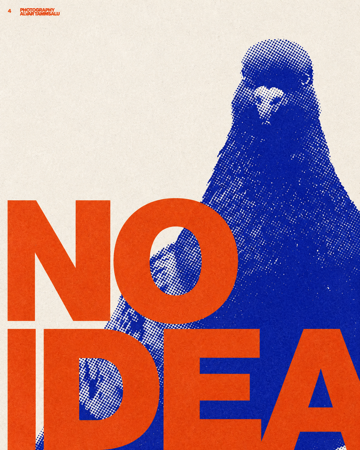 No Idea | Lámina pop art de paloma
