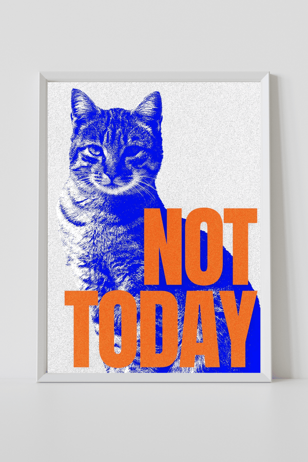 Not Today Cat Attitude Framed Print - Joffzart