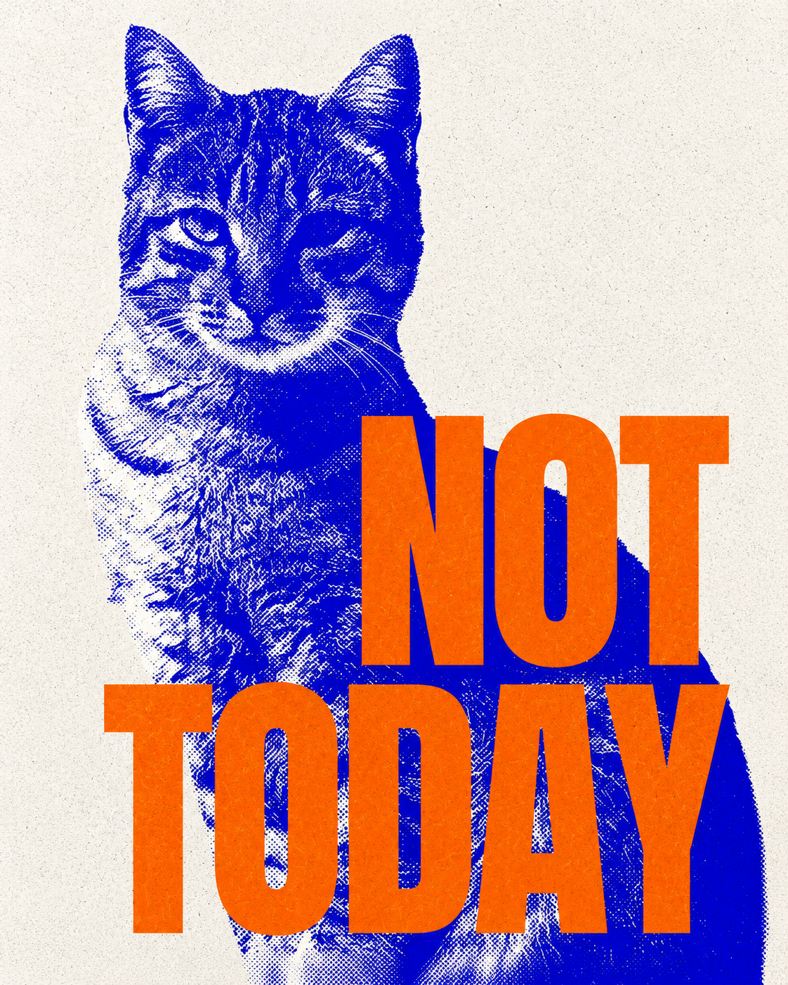 Not Today | Lámina divertida de gato azul