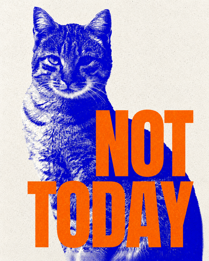 Not Today | Lámina divertida de gato azul